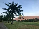 074_Prime Golf Course Land_05.webp