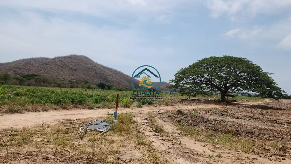 076_Great location Land for sale_02.webp