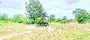 032_Land for sale_03.webp