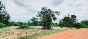 032_Land for sale_05.webp